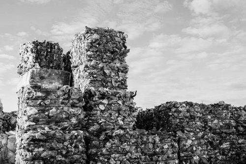 图片来源：Cavan Images/Alamy