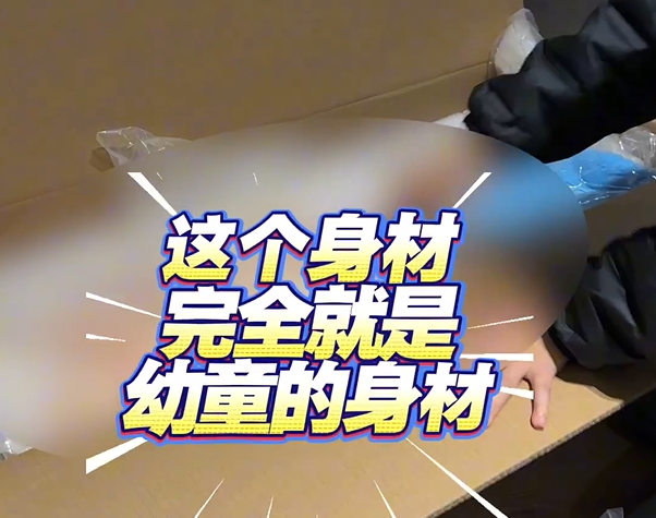 ▲具有“儿童色情特征”的情趣玩偶。图/澎湃新闻