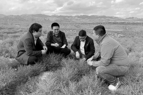 甘肃农业大学供图