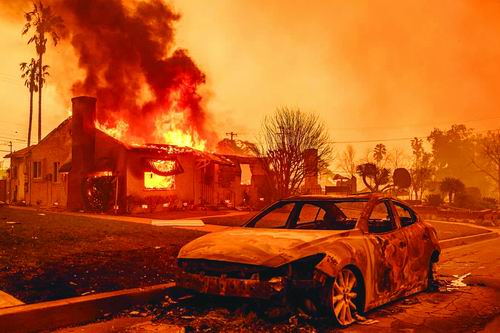 图片来源：JOSH EDELSON