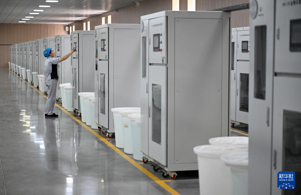 河南柘城惠丰钻石科技股份有限公司工人在金刚石微粉自动分选生产线上作业（6月11日摄）。新华社记者 李嘉南 摄