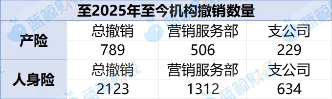 （图片来源：蓝鲸新闻）