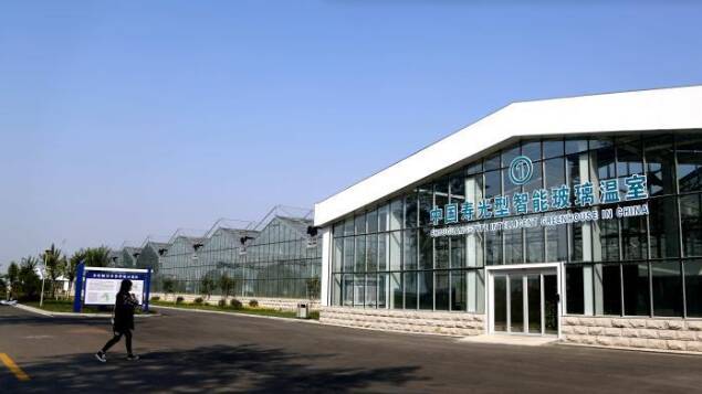 经济大省挑大梁丨“小”身板，“大”力量