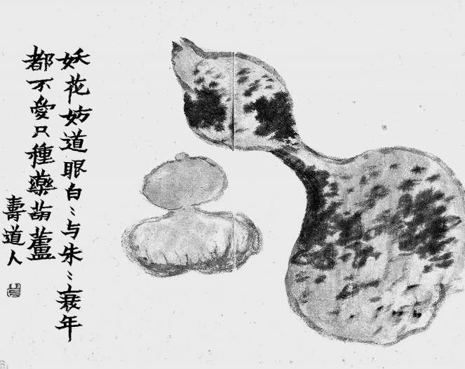 植物与人相依相伴|葛布|诗经_手机新浪网
