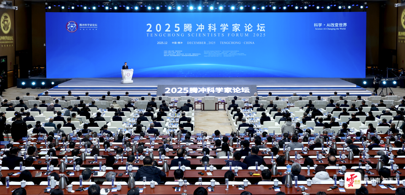 热门电脑网络游戏