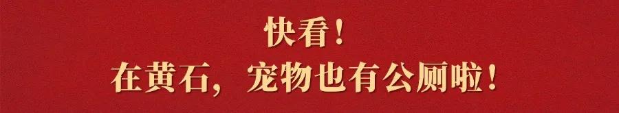来源 | 黄石日报