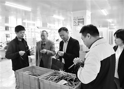 同心铸廉护民生