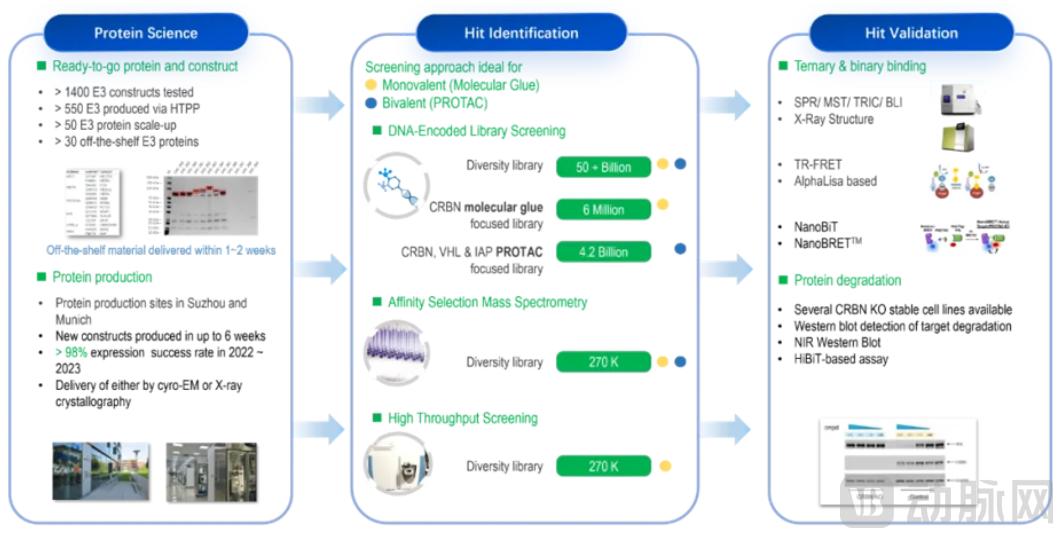 药明康德分子胶技术平台，图源参考文章