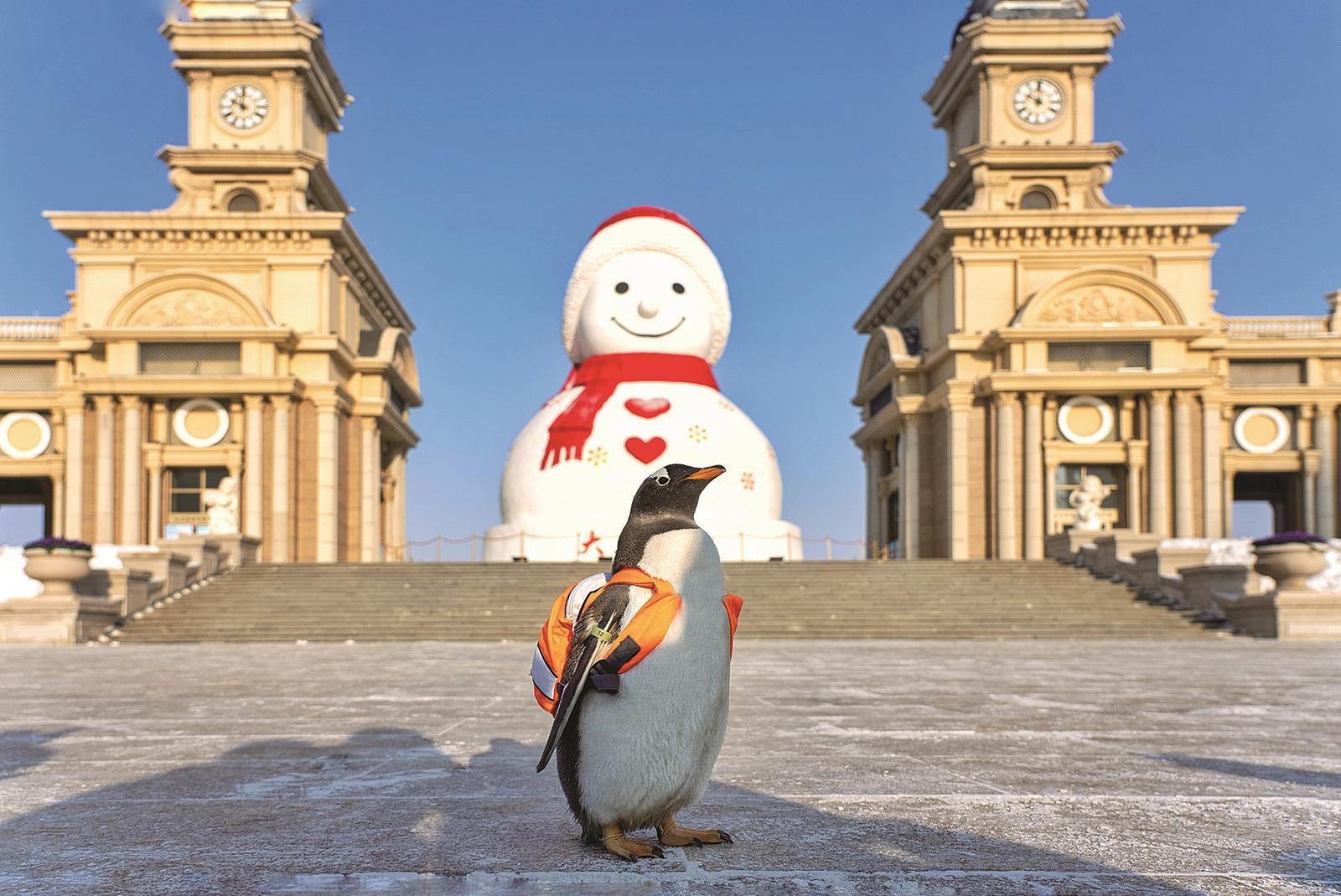 指甲盖上的100亿生意 Beetles的爆火之路 独立站如何优化