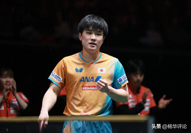 日本球迷表示理解张本智和两边受气的痛苦：请日乒协给他心理保护