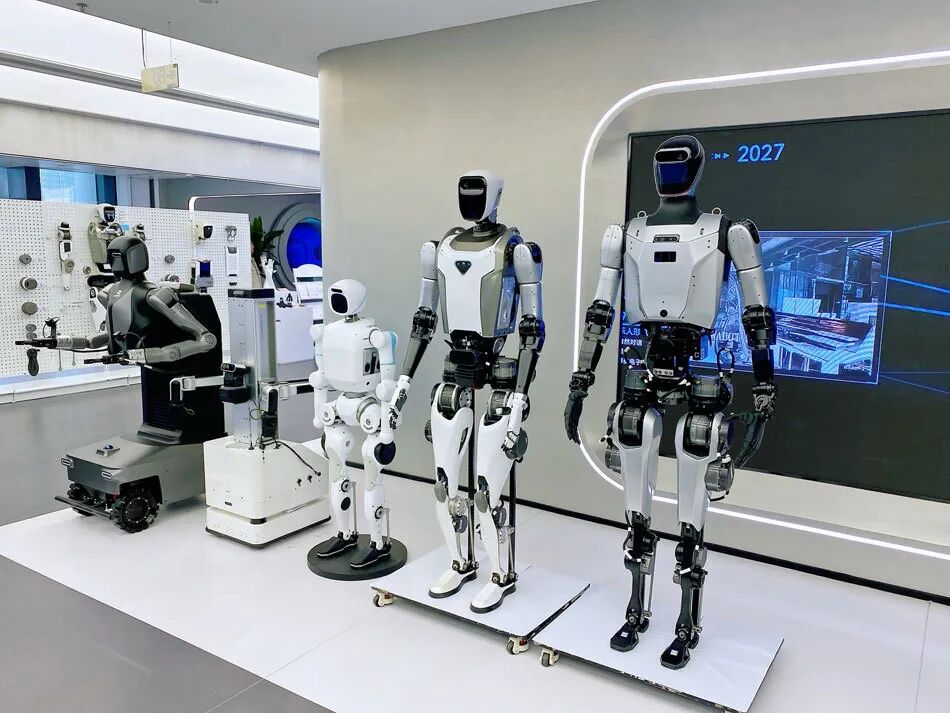 2025年12月8日，在上海浦东张江模力社区8楼，多款人形机器人在展示。