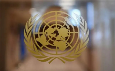 联合国敦促胡塞武装立即释放所有被拘押国际人员