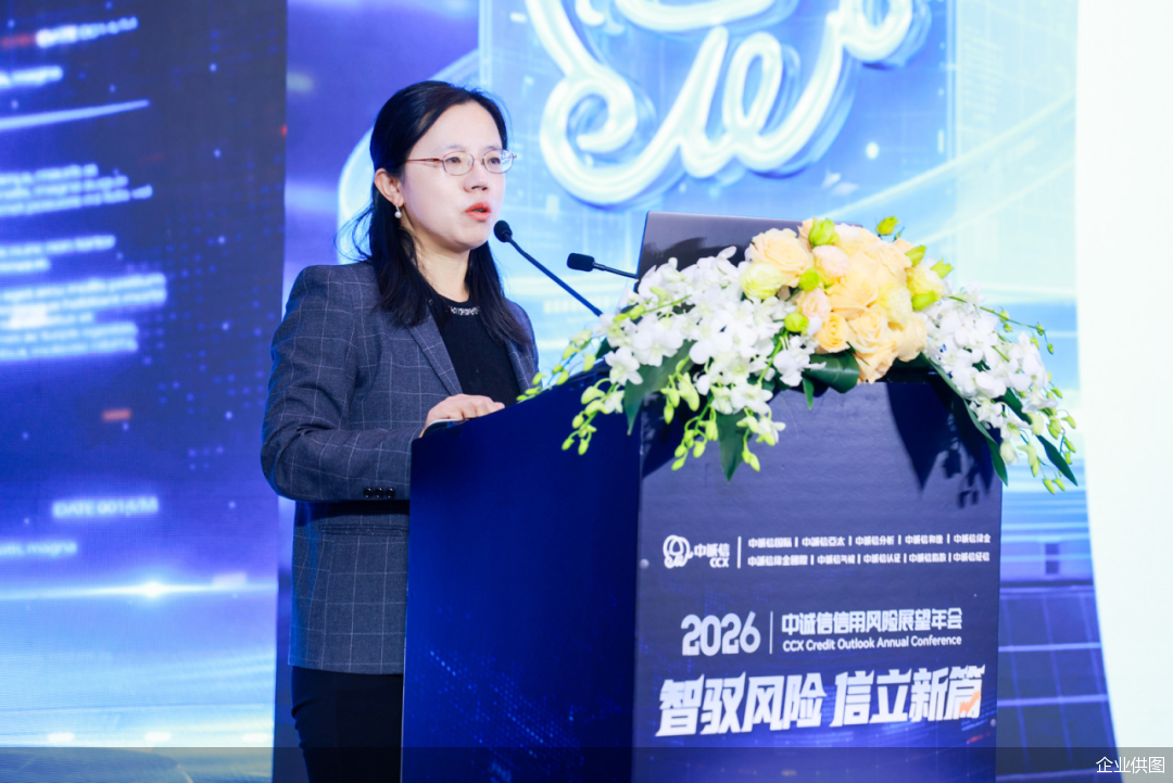 中诚信分析研究总监杨小静