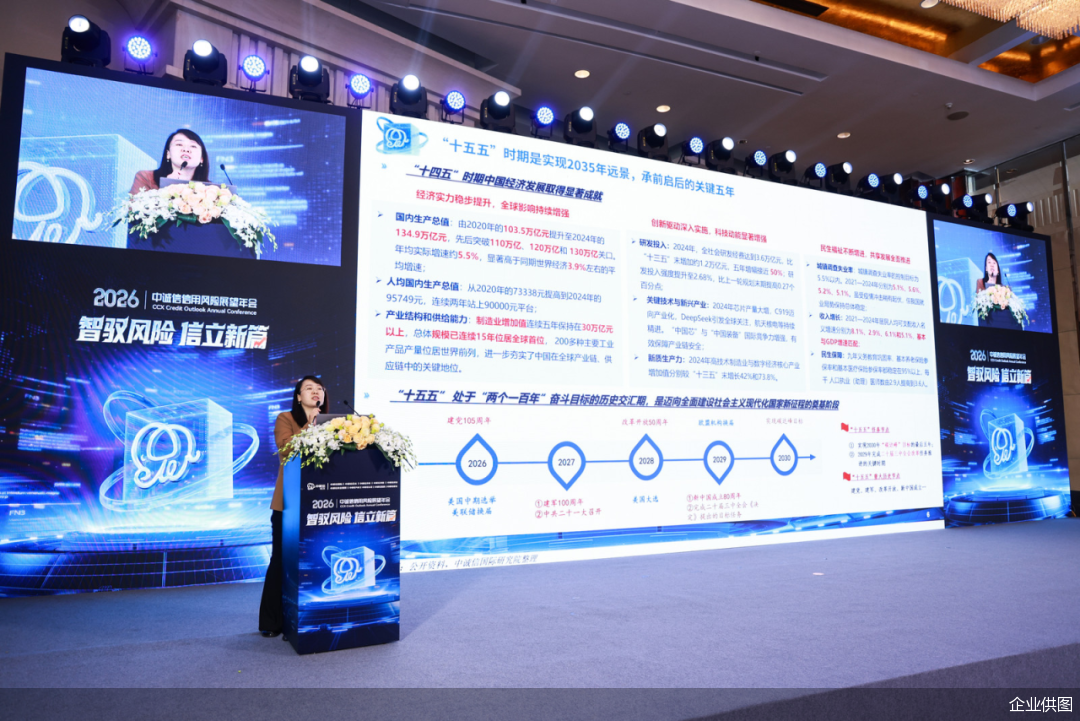 中诚信国际研究院院长袁海霞