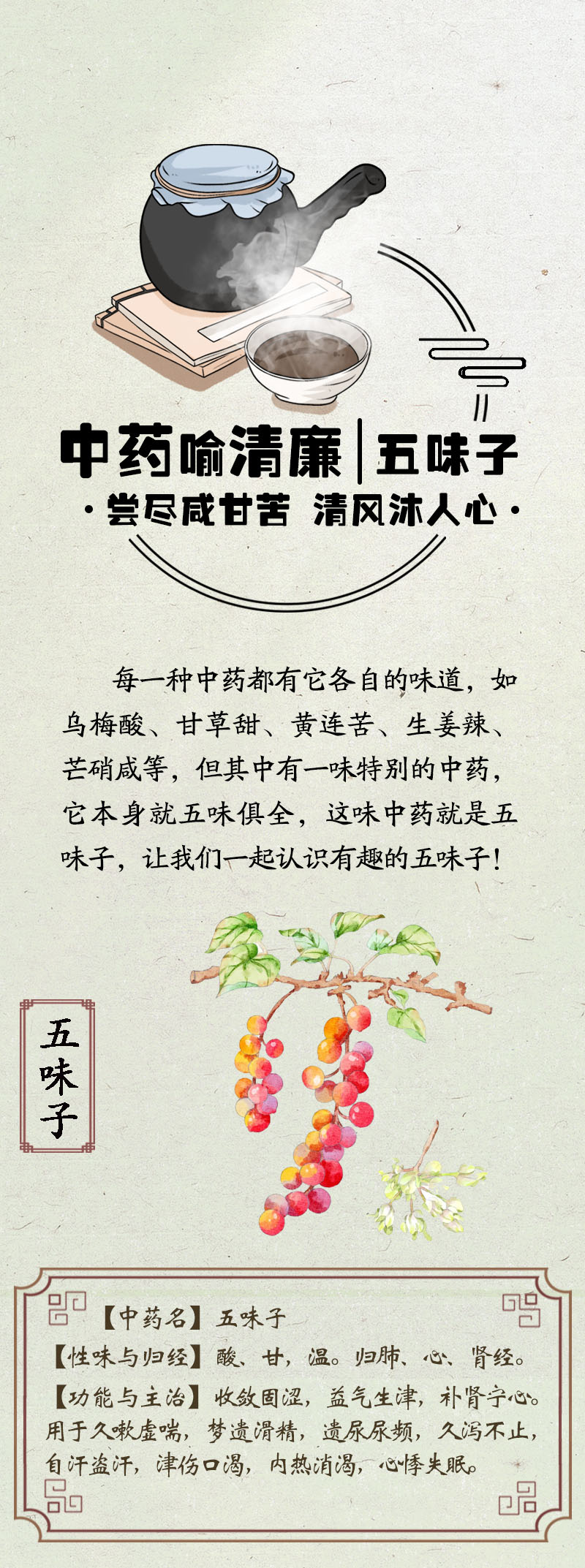 中药喻清廉丨五味子：尝尽咸甘苦 清风沐人心
