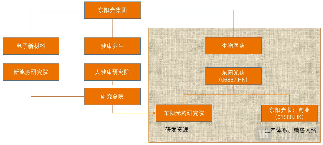 图2. 东阳光药整合示意图（动脉网制图）