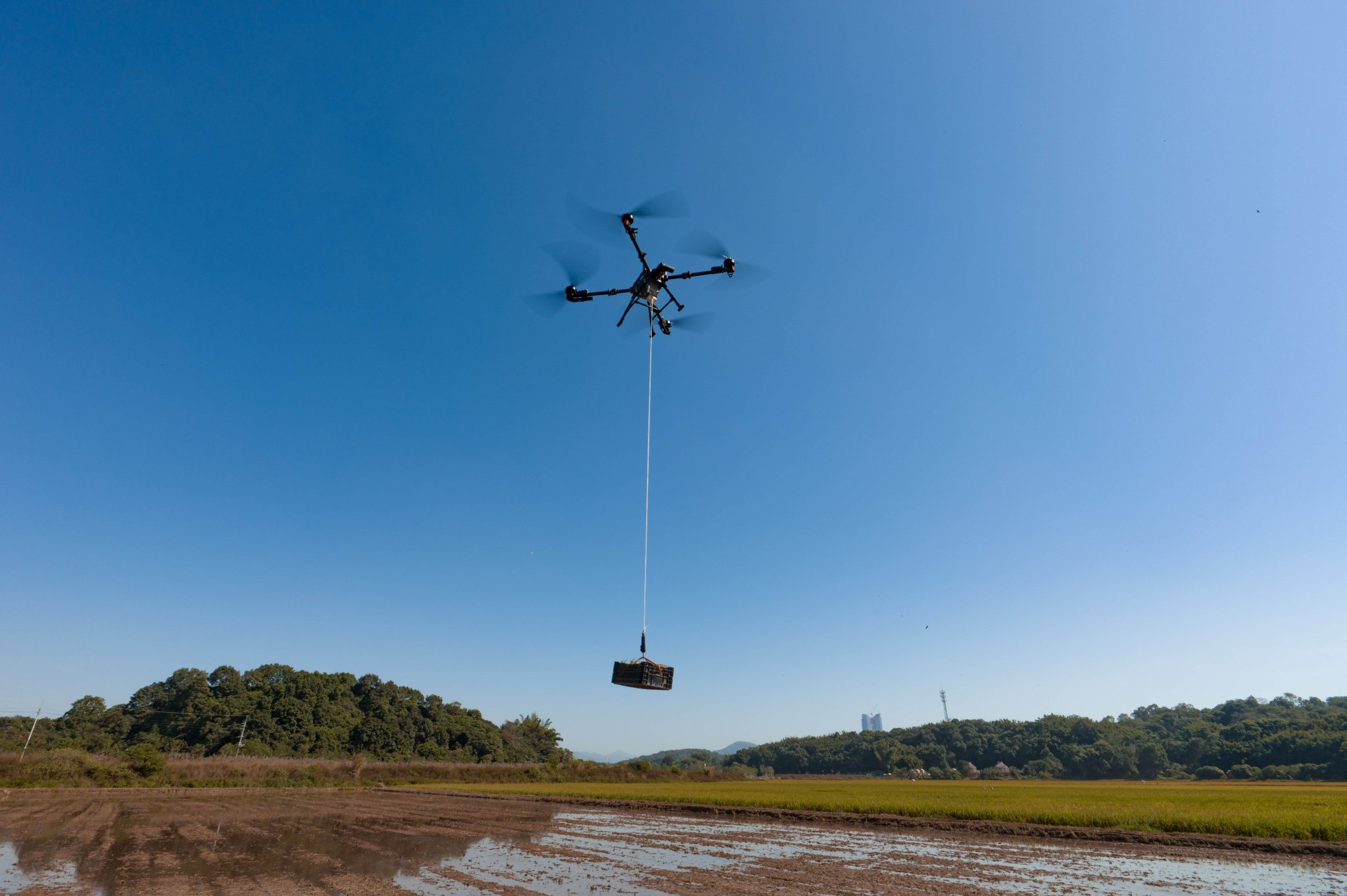 （图源：企业供图）