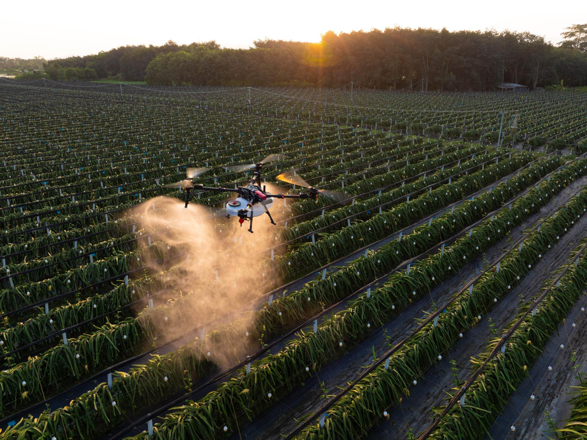 （图源：企业供图）