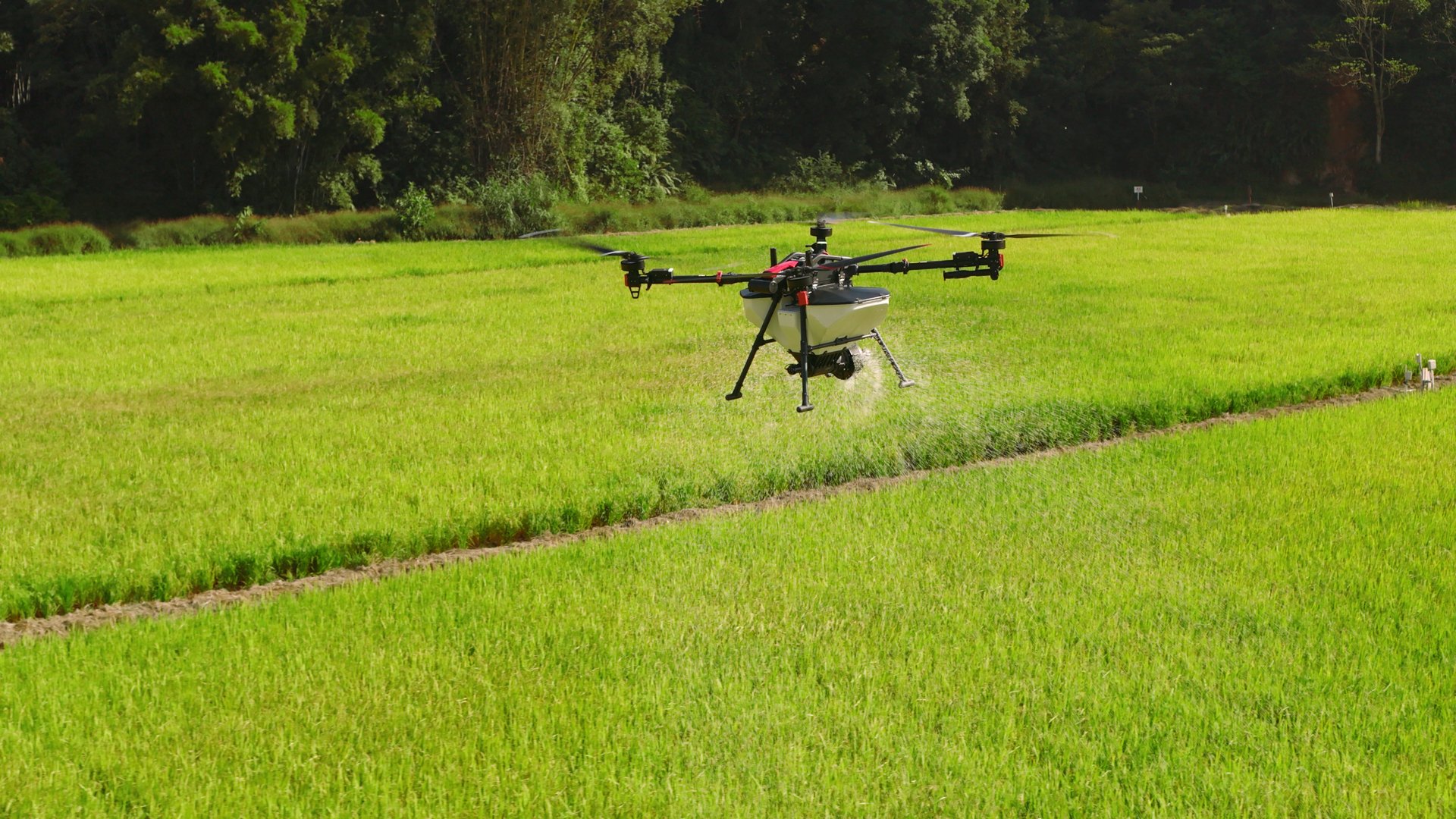 （图源：企业供图）