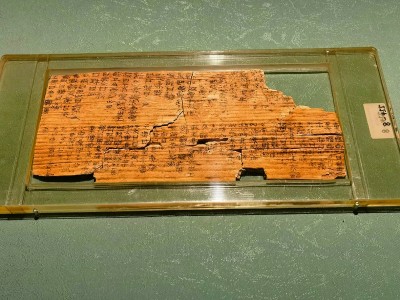     里耶出土的秦代木牍更名方 本报记者李韵摄/光明图片