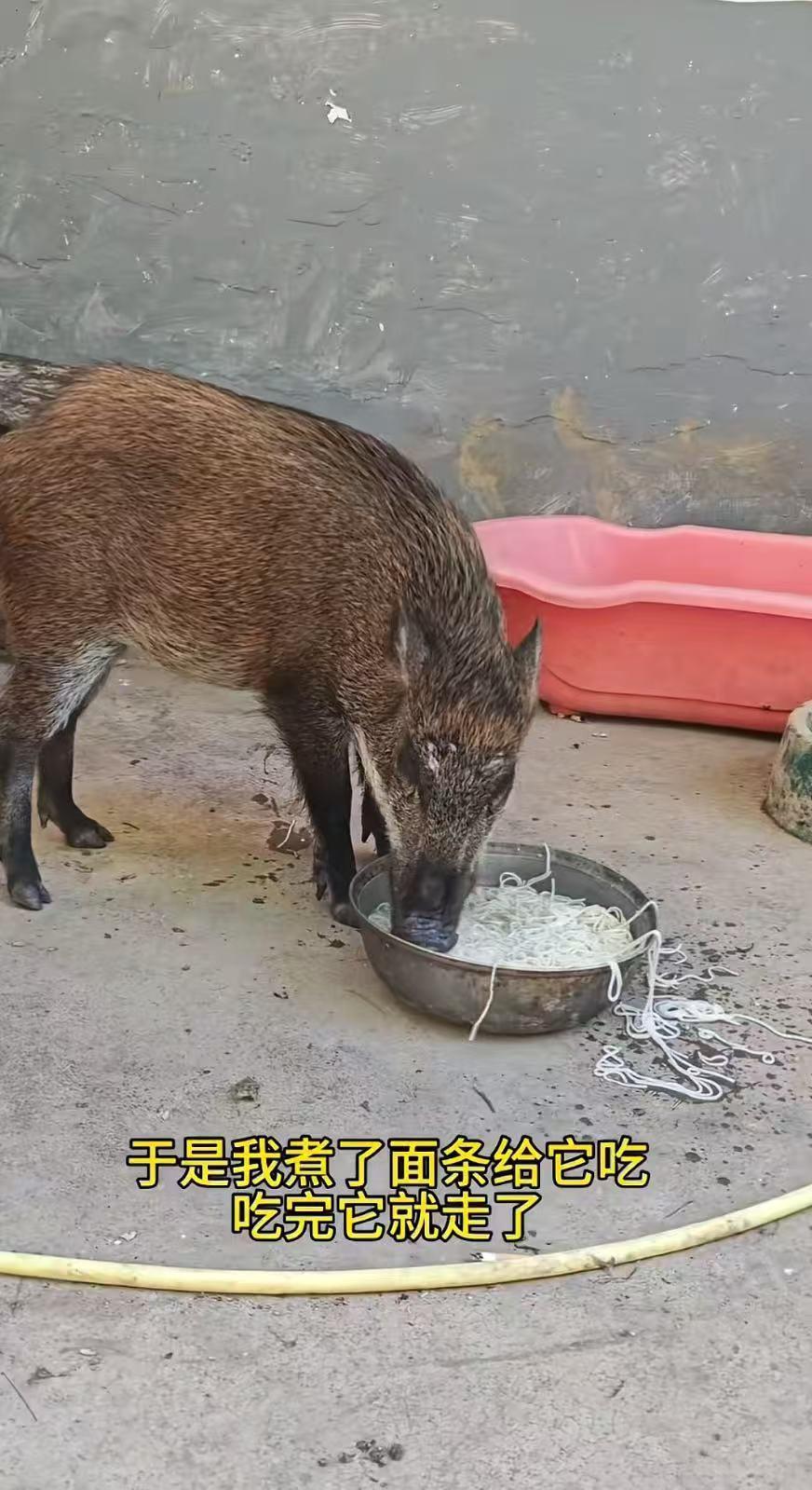 网红书瑶赔偿33万 商业诋毁案件有哪些影响