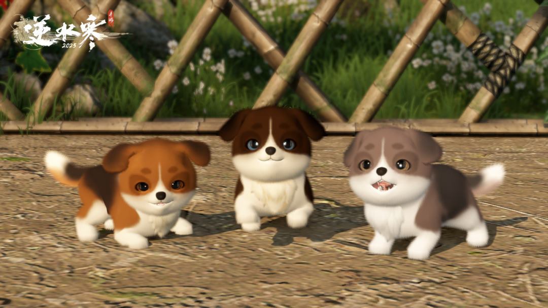 ▲ 小黑米小黄豆小椰灰