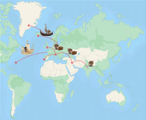 △ 黑家鼠的传播