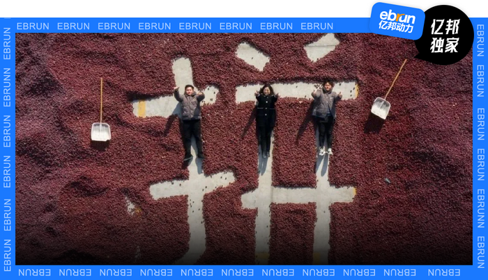 文丨田雨      编辑丨石磊