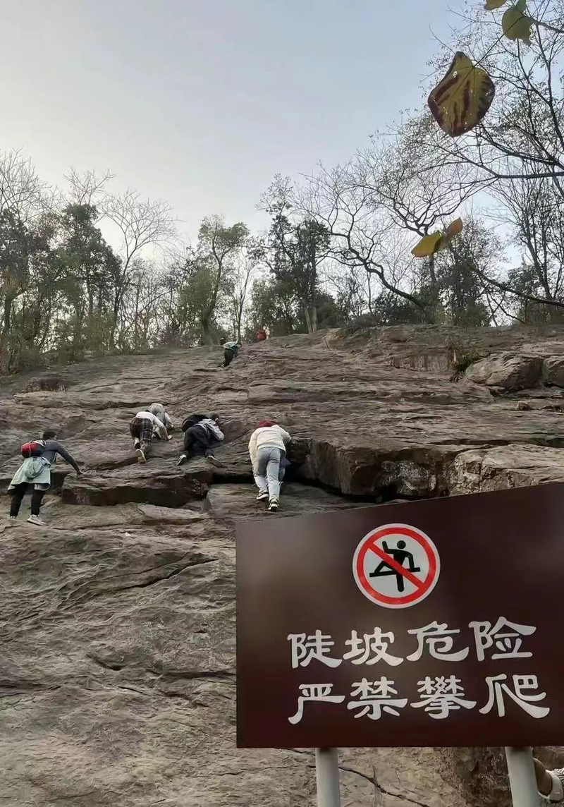 ▲岳麓山一处被称作“绝望坡”的野爬路线，成了网红打卡点。图/潇湘晨报