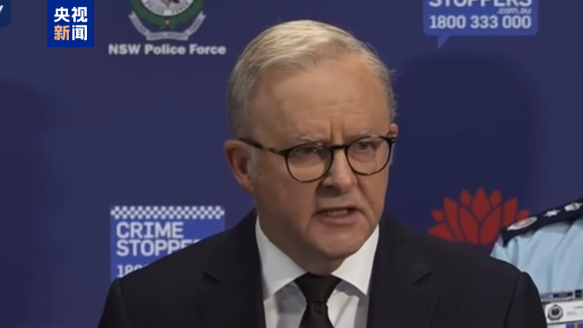 澳大利亚总理：将提出更为严格的枪支法律
