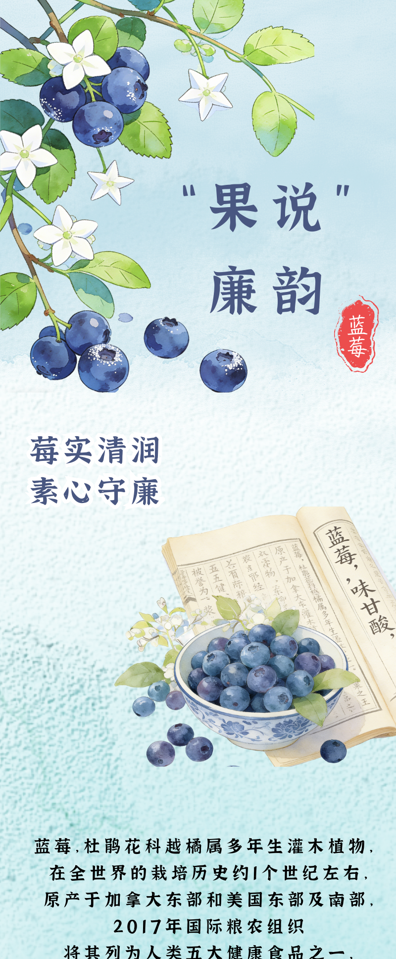 “果说”廉韵丨蓝莓：莓实清润 素心守廉