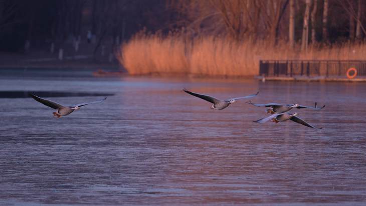 4K 60p视频原片截图，视频追焦也非常精准