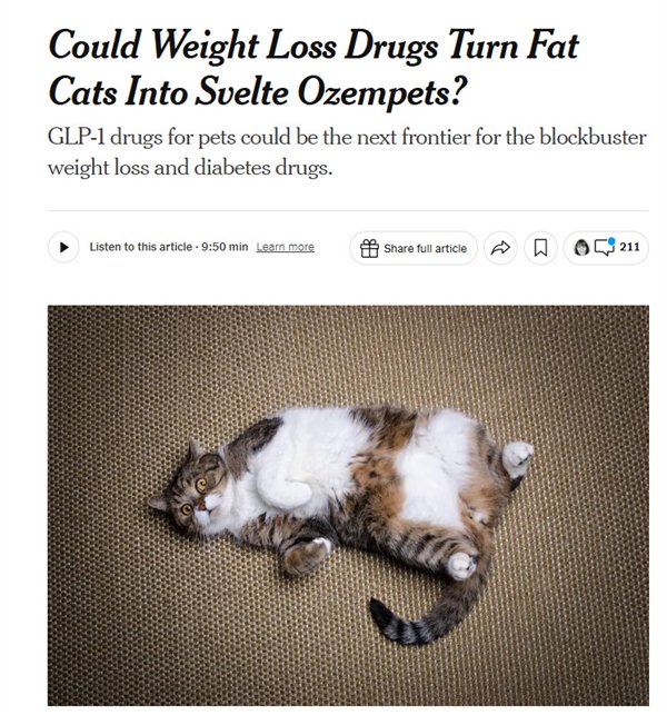 全球首款猫用减肥药进入临床试验：声称能“延年益寿”