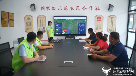 （中华财险河北分公司工作人员为望都县高优合作社宣导讲解“智慧农险客户端”应用。）