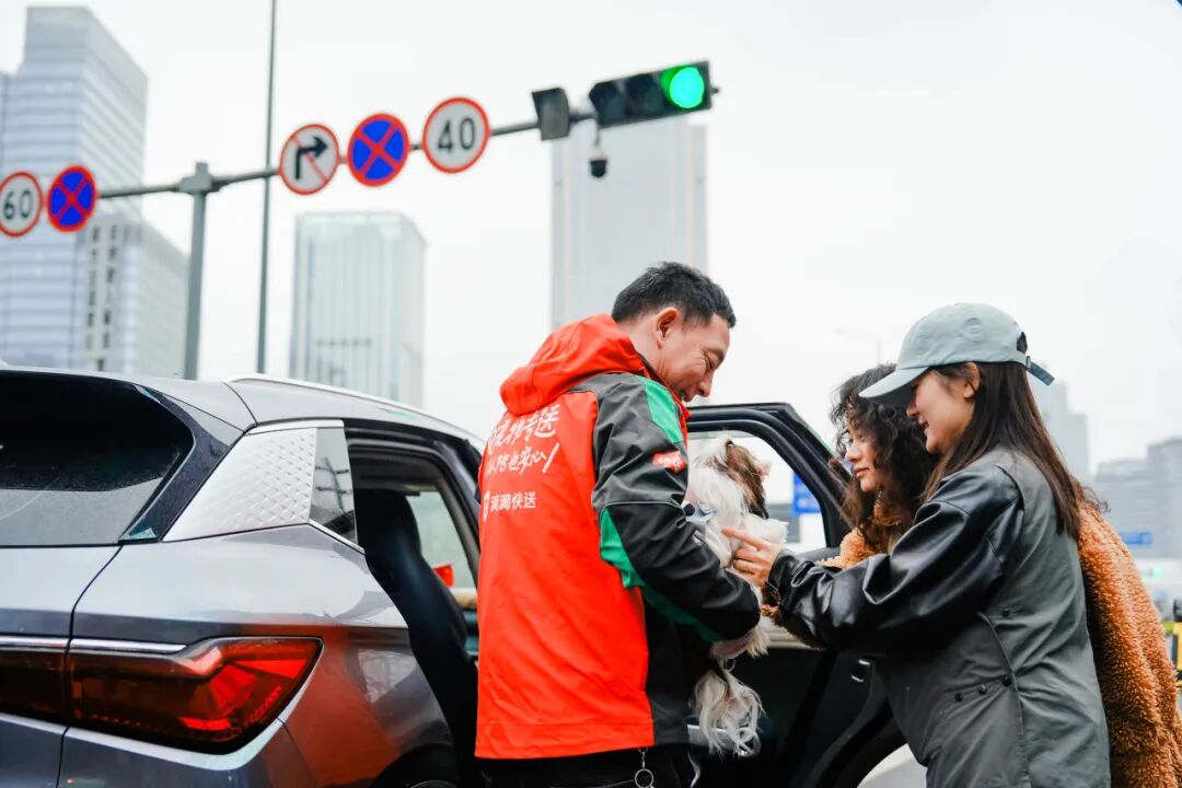 图为：用户使用“宠物快送”送宠物去洗护店