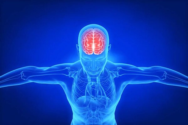 人类的大脑其实只利用了10%？真的假的