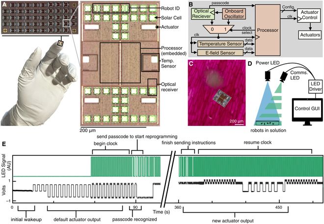 图 | 微型机器人电路概览（来源：Science Robotics）