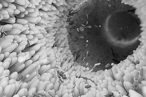 图片来源:THOM LEACH