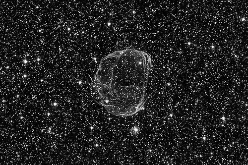 图片来源:Claude Cornen