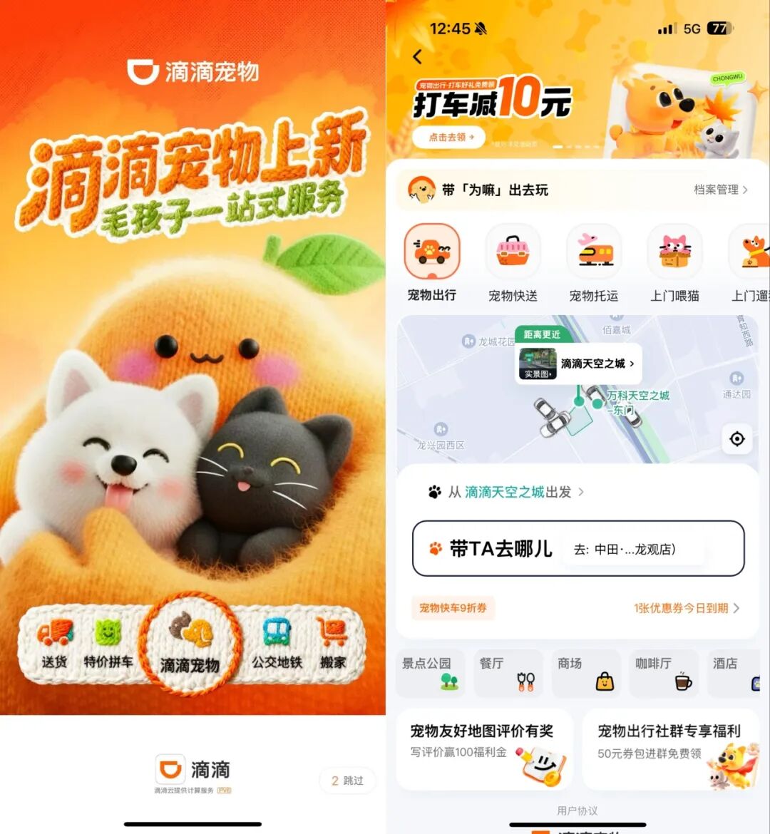 图为：滴滴宠物入口及页面