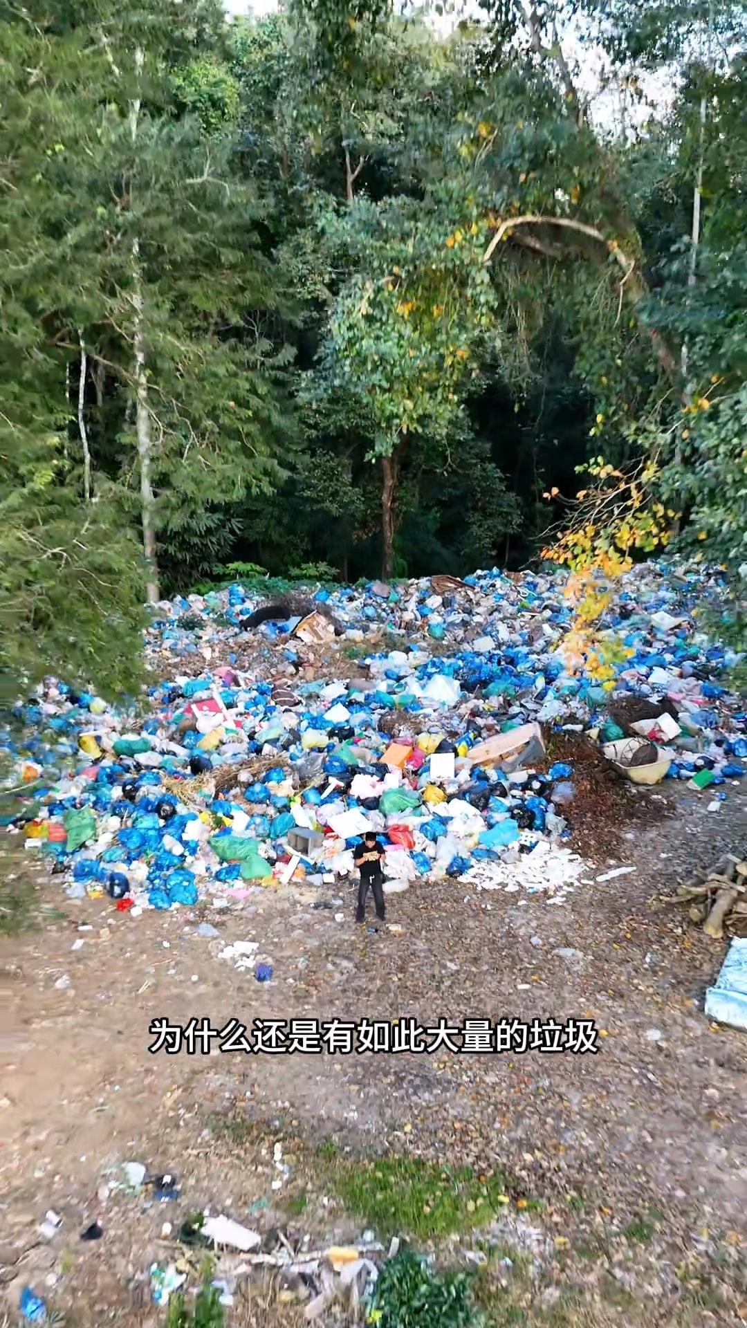 云南景洪一乡镇树林里堆放有大量垃圾？镇政府：正在清理