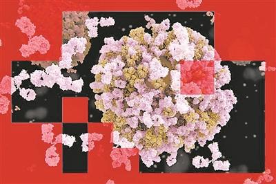 图片来源：《自然》网站