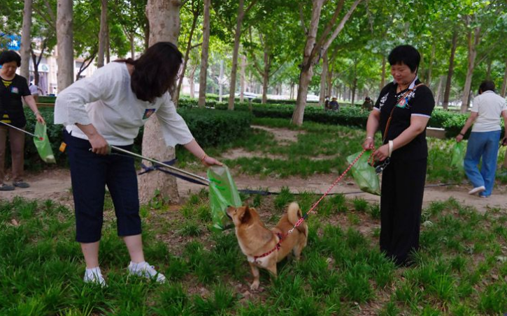 ▲社区居民清理花园里的宠物粪便。新京报记者 郭延冰 摄