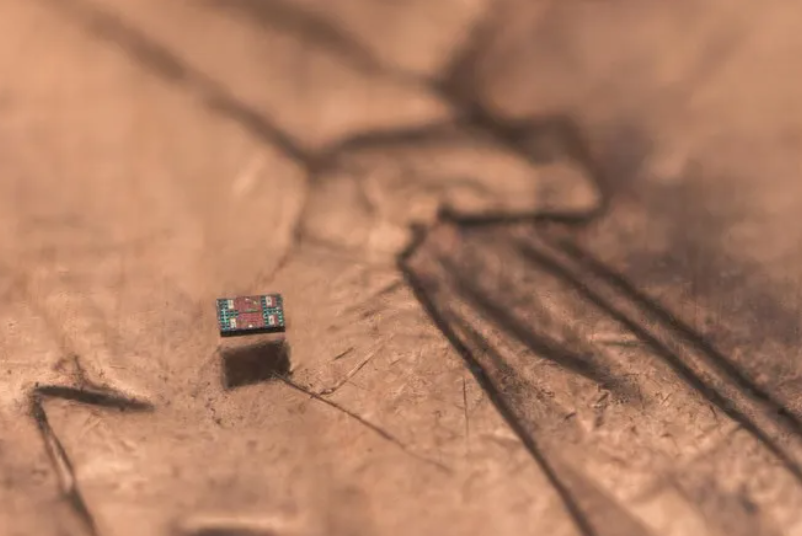 ▲ 图源密歇根大学