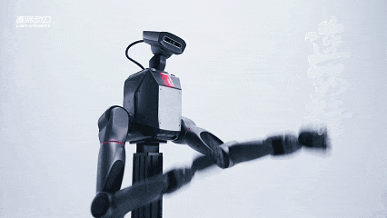 ▲ TRON 2 高自由度双臂高速动作