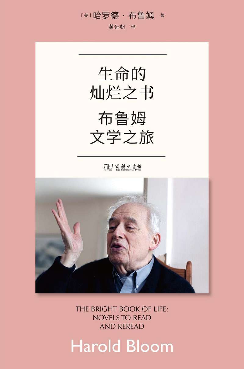 哈罗德·布鲁姆：我们爱堂吉诃德，因为他相信自己是自由的