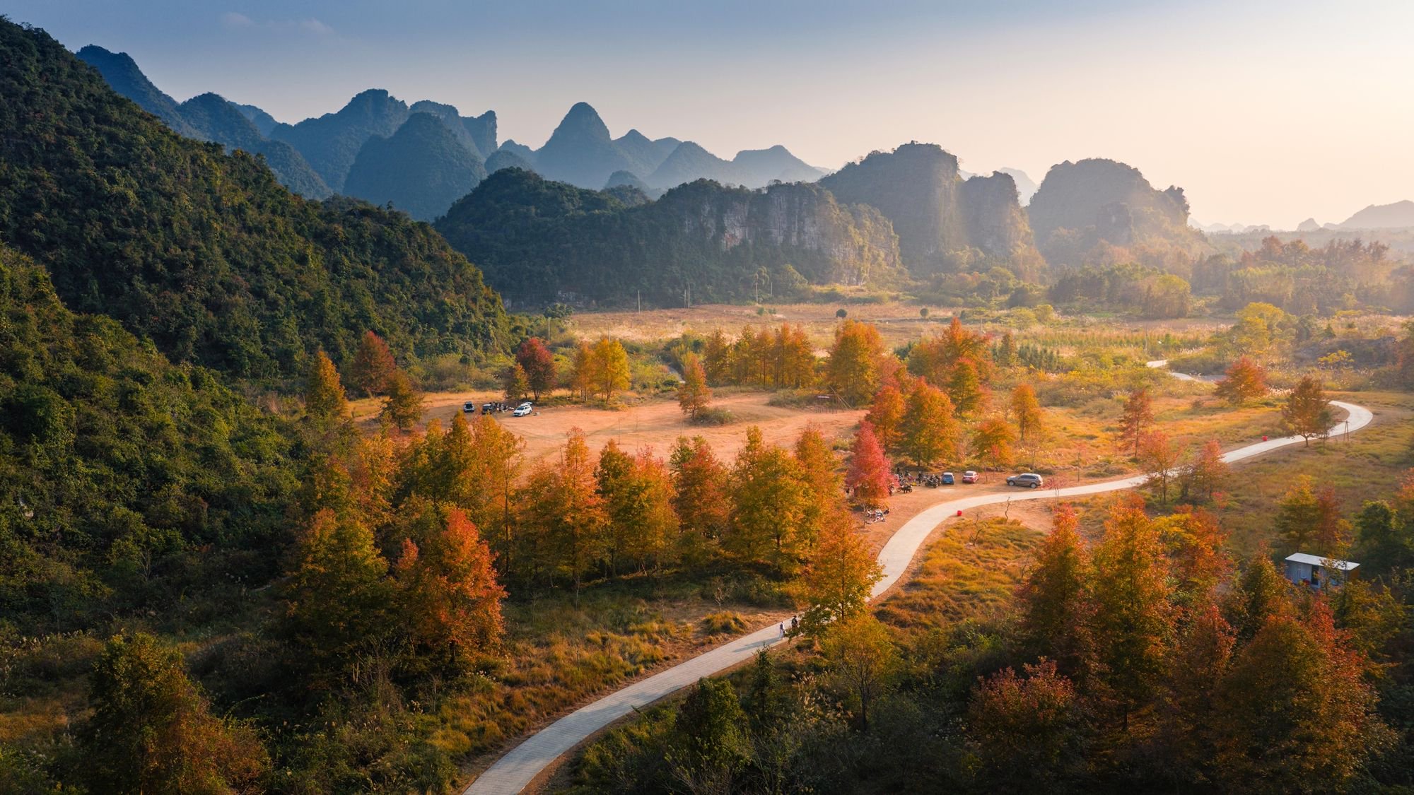 镜头丨冬至阳生 桂暖情长