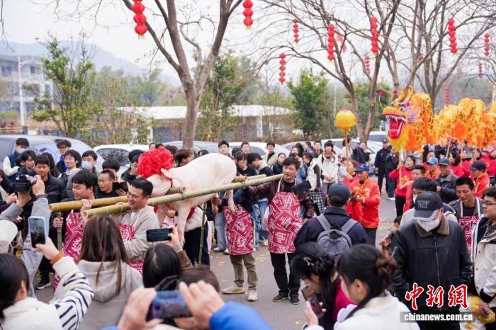浙江湖州，茅坞村年猪饭活动现场。湖州市新闻传媒中心供图