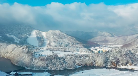 seo自动优化软件推荐