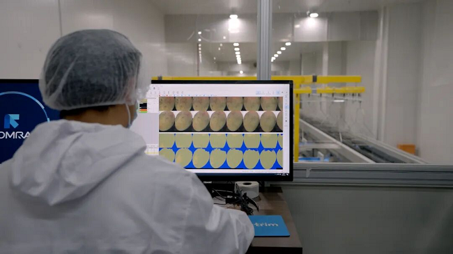     自动化生产线光学分选